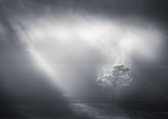 Aust Geographic Finalist Entry (1 Of 1)