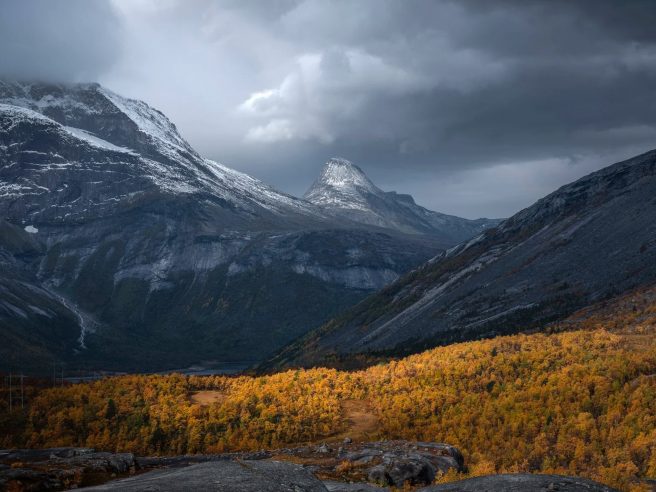 Trym Ivar Bergsmo 014