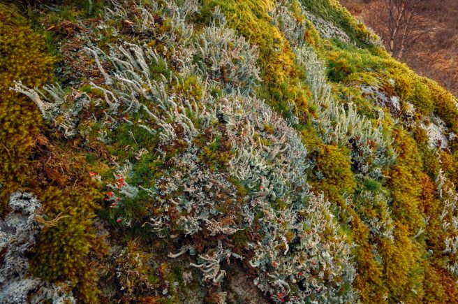 26 02 01 Dsc1811 Edit