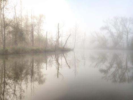 Big Creek Mist