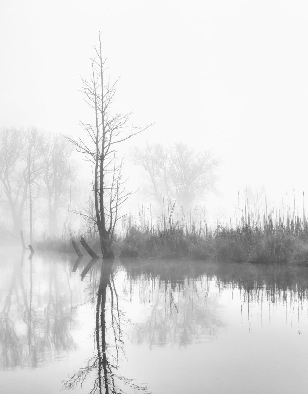 Big Creek Monochrome
