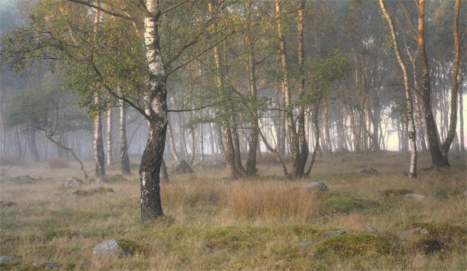 Image 20 10 2025 At 14.01