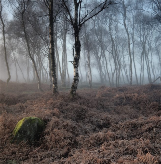 Image 20 10 2025 At 14.04