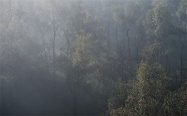 Image 20 10 2025 At 14.08