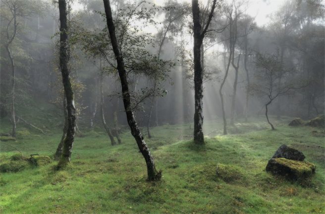 Image 20 10 2025 At 14.10