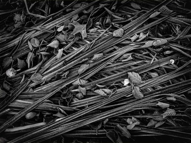 Redigerad 2025 10 16 Skellefteå Höst4056 Redigera 3 2