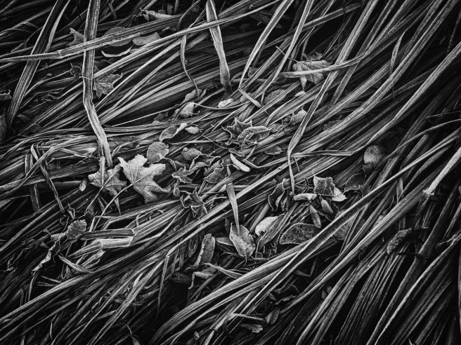 Redigerad 2025 10 16 Skellefteå Höst4085 Redigera Redigera