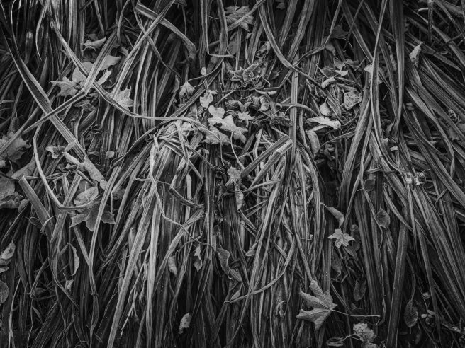 Redigerad 2025 10 16 Skellefteå Höst4104 Redigera 2