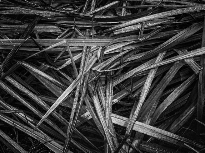 Redigerad 2025 10 16 Skellefteå Höst4407 Redigera