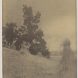 1 Alfred Stieglitz, September