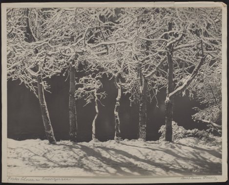 3 Albert Steiner, Erster Schnee Am Moritzsee