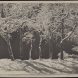 3 Albert Steiner, Erster Schnee Am Moritzsee