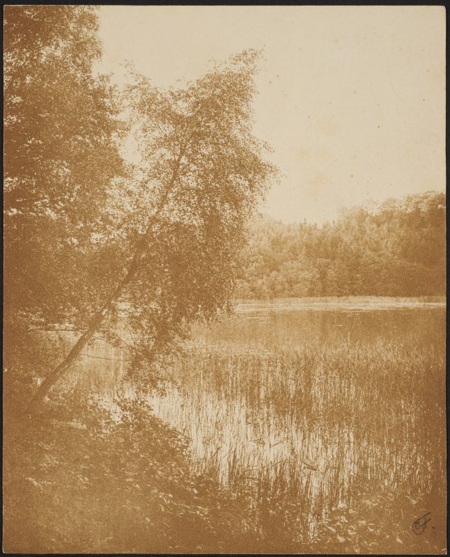 4 Carl Frederiksen, Untitled
