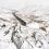 Buttertubs Winter