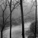 Holden Richards Eno Fog And Rain