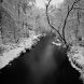 Holden Richards Eno Riverwalk Snow