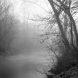Holden Richards Eno Fog Ii