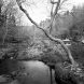 Holden Richards Fews Landscape