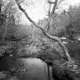 Holden Richards Fews Landscape