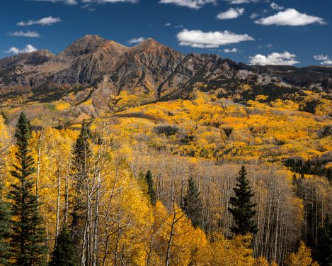 Lancaster Aspen 1