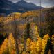 Lancaster Aspen 10