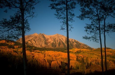 Lancaster Aspen 12