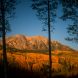 Lancaster Aspen 12