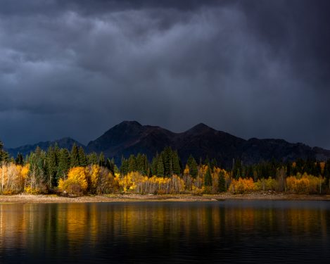 Lancaster Aspen 14
