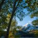 Lancaster Aspen 16