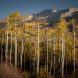Lancaster Aspen 20