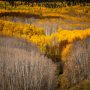 Lancaster Aspen 21