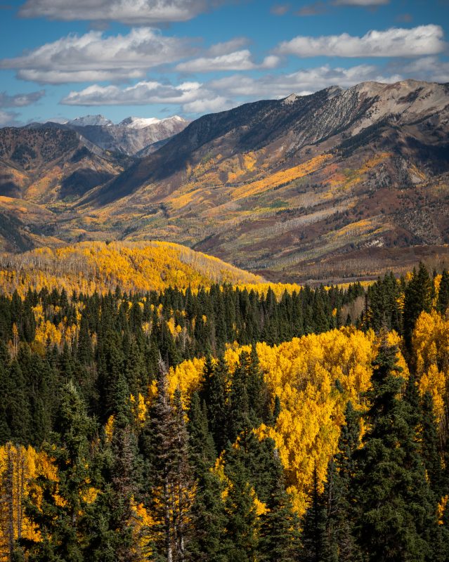 Lancaster Aspen 4