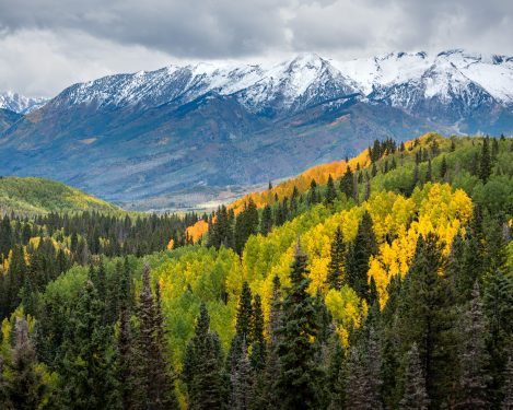 Lancaster Aspen 5