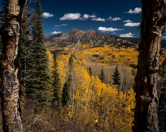 Lancaster Aspen 7