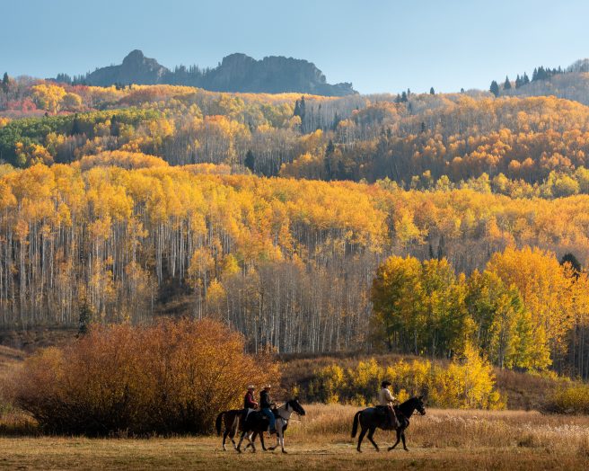 Lancaster Aspen 8