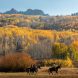 Lancaster Aspen 8