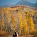 Lancaster Aspen 9