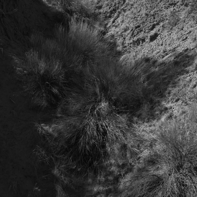 Plateau F 6