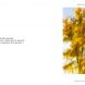 Colourofwater Book 1