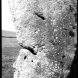 No. 10, Seven Stones Exhibition © Ian Mckeever (hackelbury Fine Art, London)
