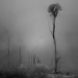 Rbunder Ol Interrupted 001