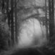 Rbunder Ol Interrupted 005
