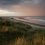 Winterton. Onl.
