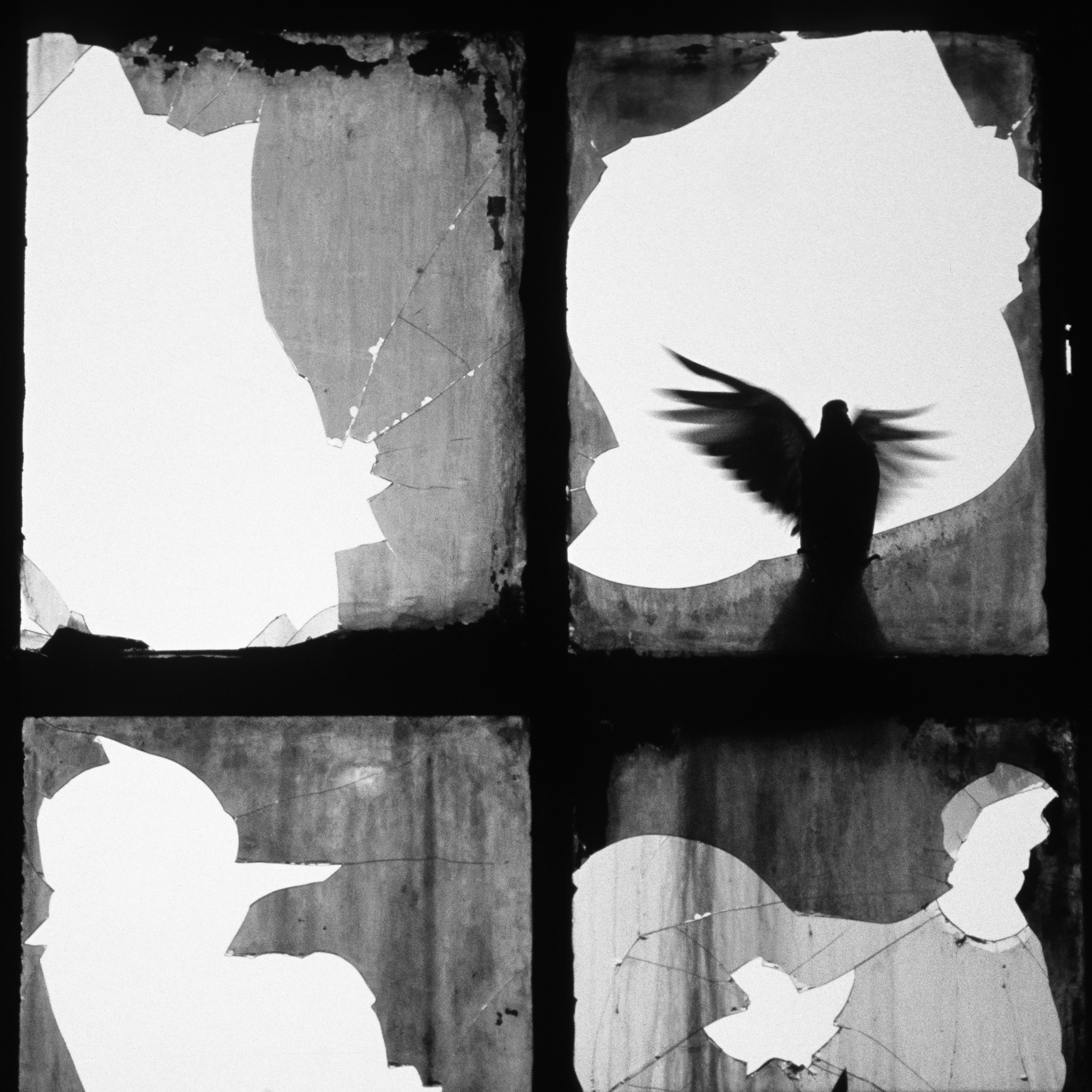 Untitled 0012 2