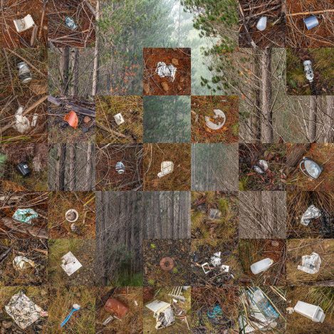 Disposed
