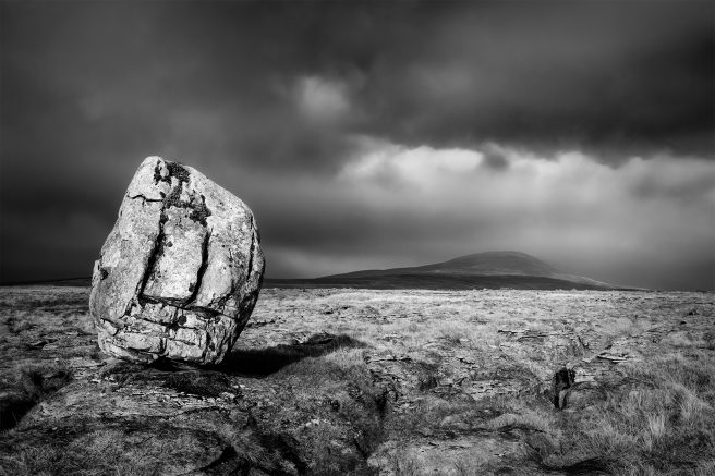 Erratic On Ewes Top Nov 2011