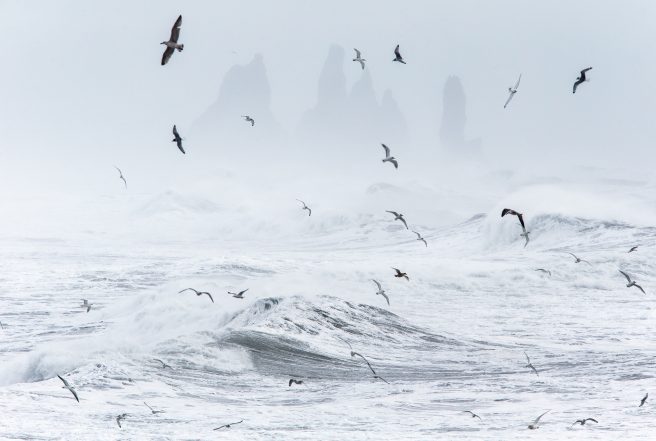 Into The Storm