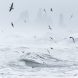 Into The Storm