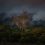 Tasmania Uncertainty
